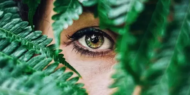 sight and exercises to restore it